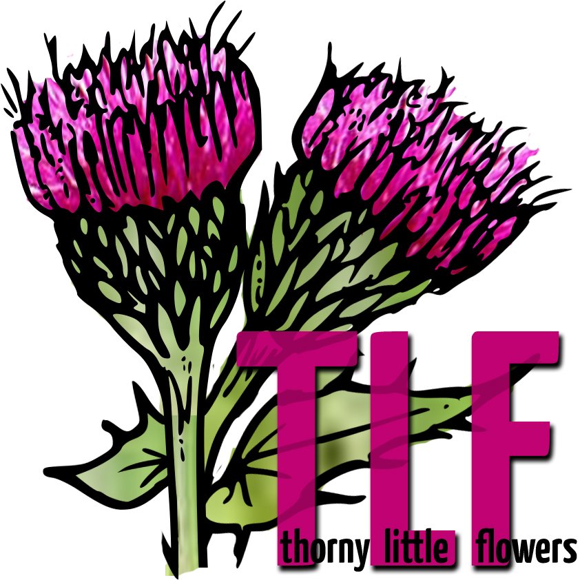 The Philosophers Daughter